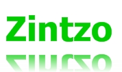 Logotipo de Zintzo